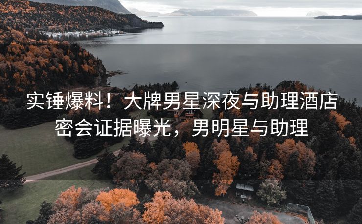 实锤爆料！大牌男星深夜与助理酒店密会证据曝光，男明星与助理