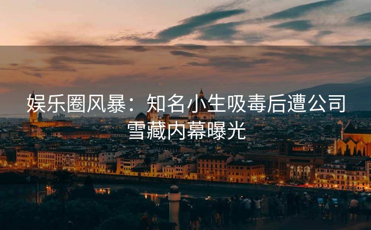 娱乐圈风暴：知名小生吸毒后遭公司雪藏内幕曝光